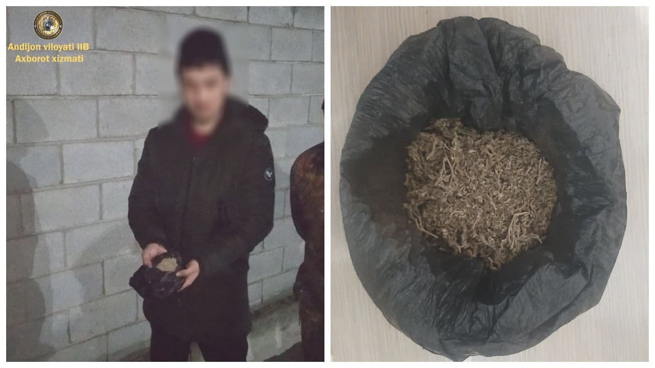 Andijonda fuqaroning yonidan “marixuana” giyohvandlik moddasi aniqlandi