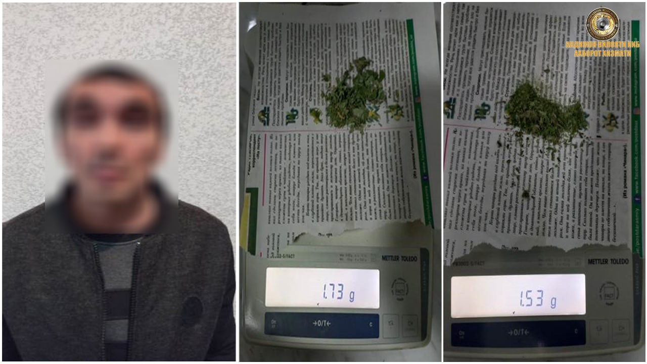 Андижон шаҳрида фуқаро “наша” гиёҳвандлик моддасини қонунга хилоф равишда сақлаб келаётган…
