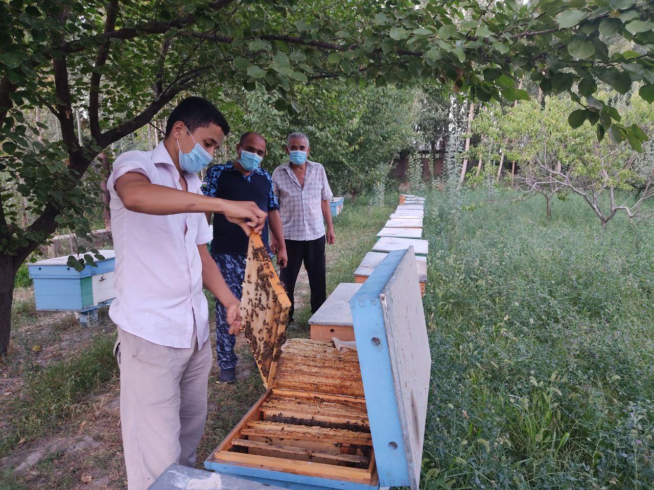 Andijon viloyatining 3-sektori hisoblangan Andijon tumanida aholini kambag‘allikdan chiqar…